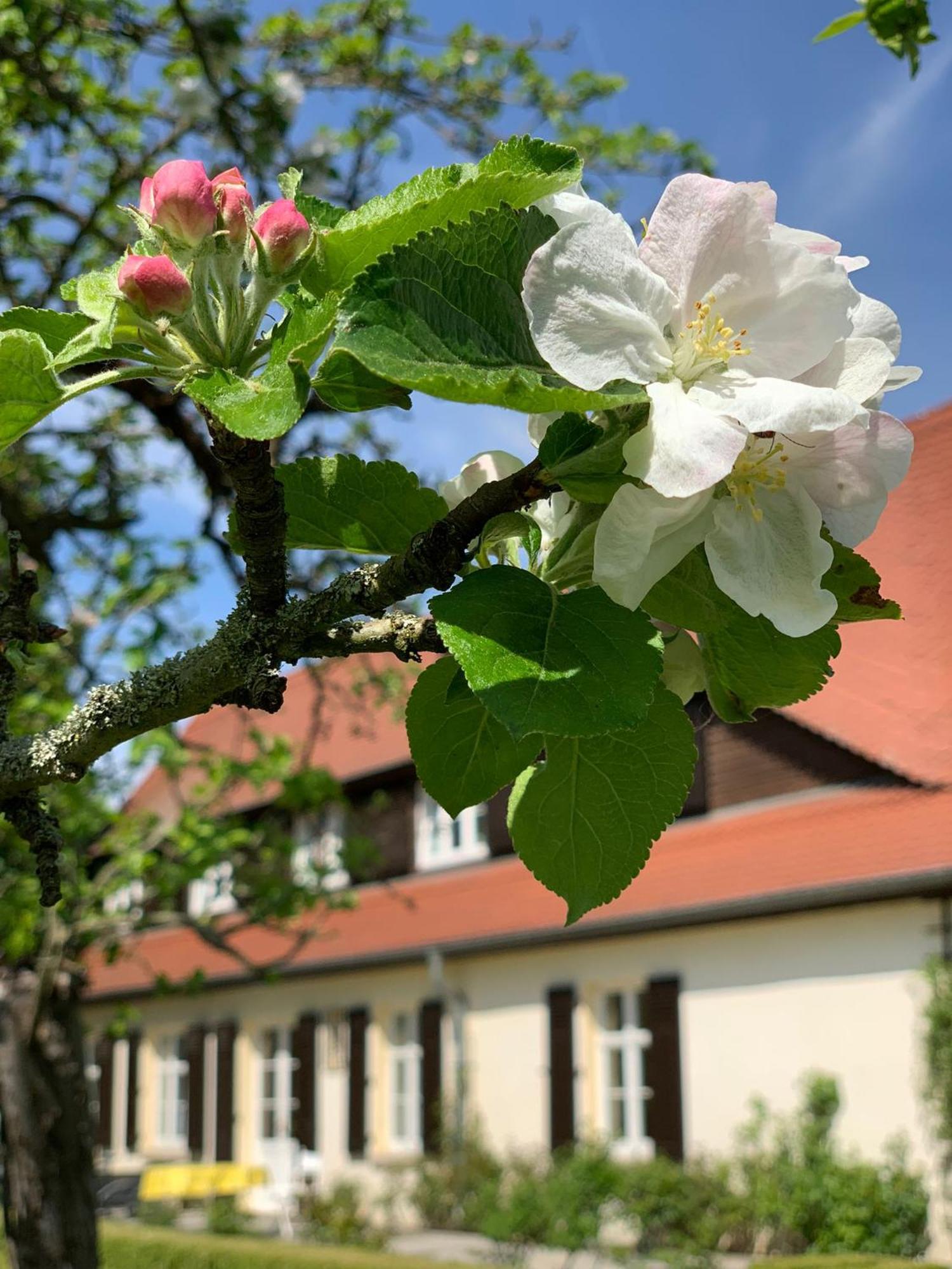 Landhaus Saaleck Наумбург Екстериор снимка