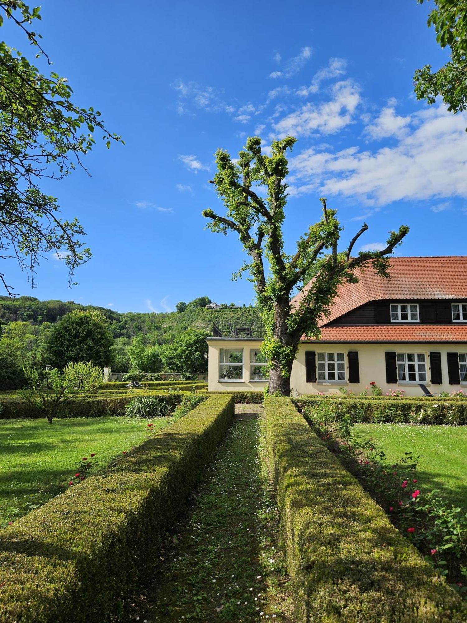 Landhaus Saaleck Наумбург Екстериор снимка